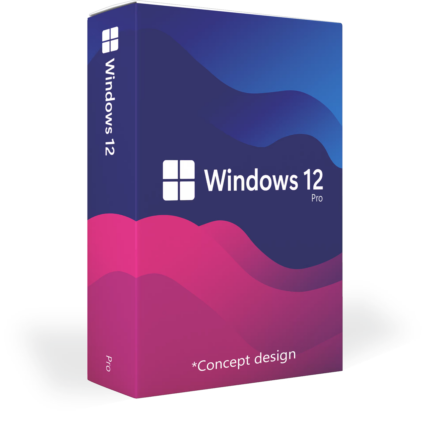 Windows 12 Pro MSLicenze
